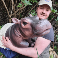 Chesterfield On Safari News Image