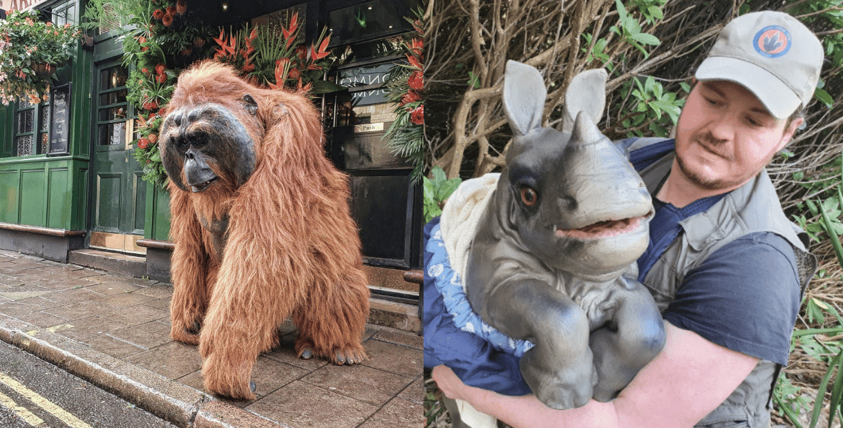 Chesterfield on Safari will include an orangutan and baby rhino