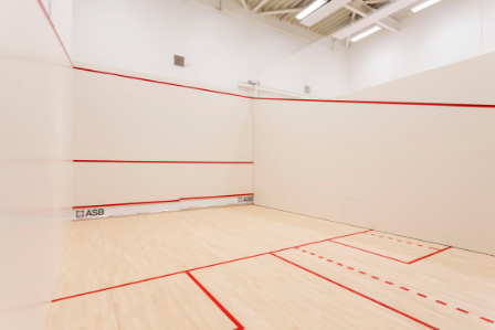 Link to Squash courts content