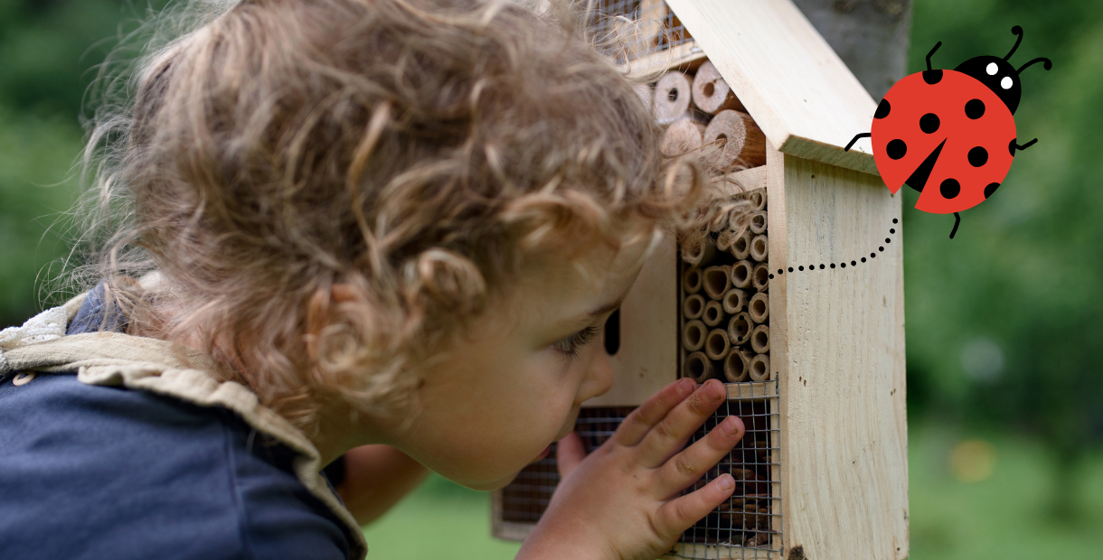 Girl looking closely at a bug house