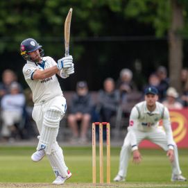 Cricket Festival Player