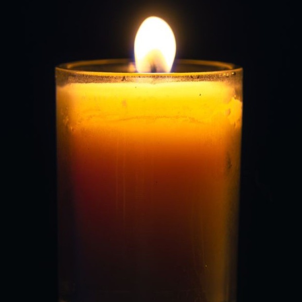 Support Holocaust Memorial Day in Chesterfield