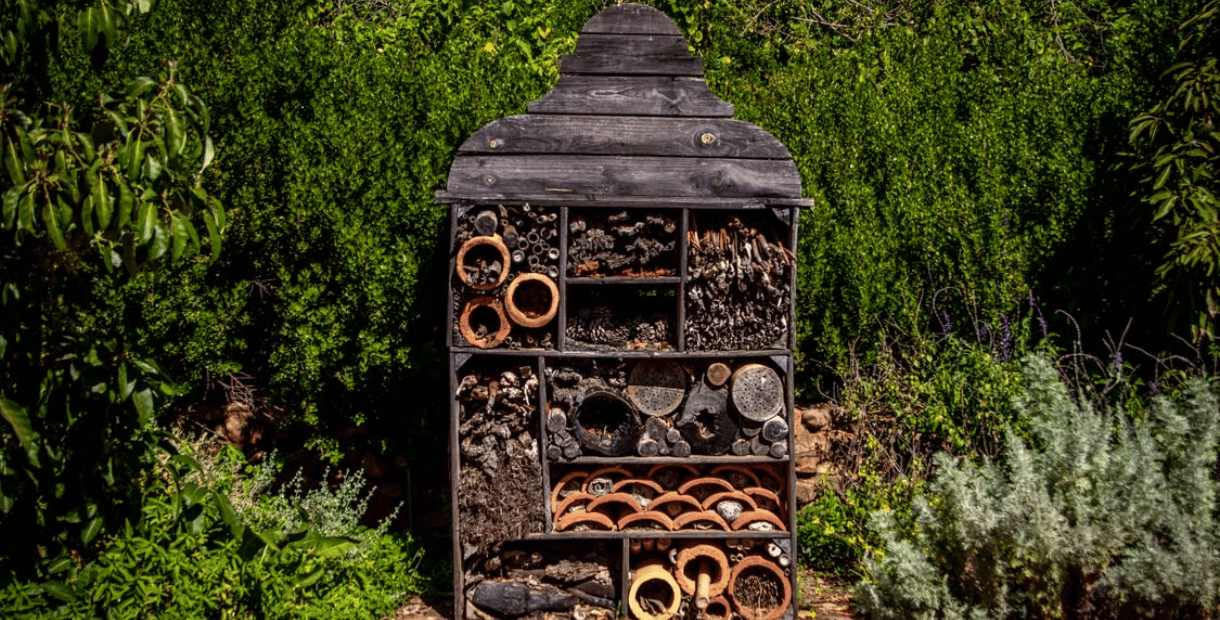 Image shows a bug hotel