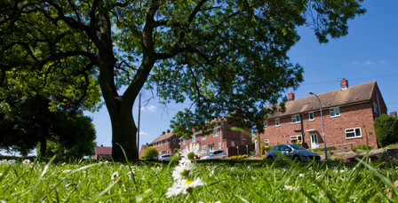 Link to Community surveyors content