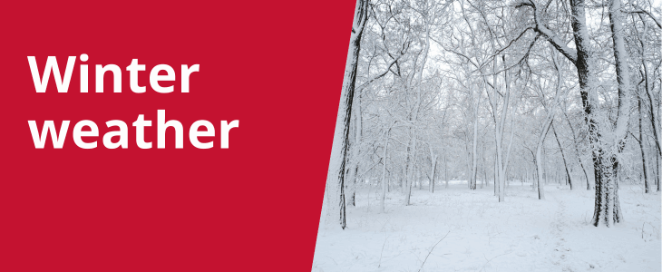 Link to 'Winter weather - service information' page