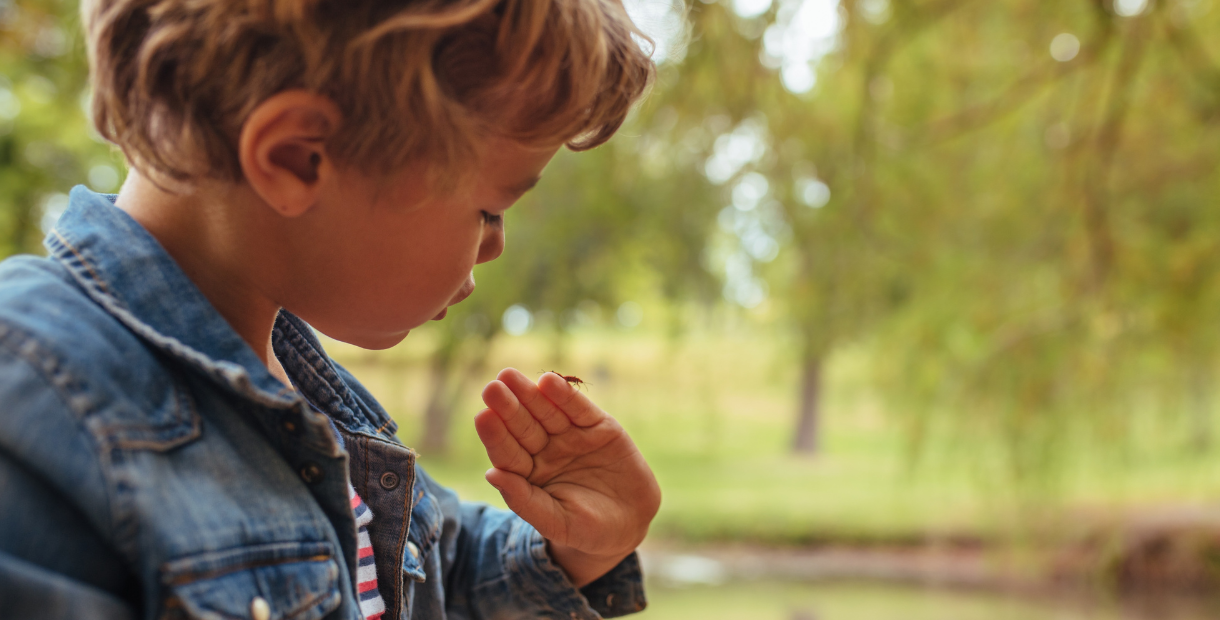 A young child outdoors wearing a denim jacket gently holds out their hand while closely observing a small insect, possibly a bee, resting on their skin. The background is softly blurred with green trees and warm sunlight, creating a calm, natural setting.